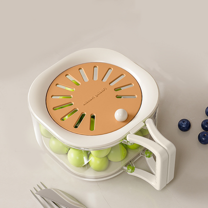 Fruit Drainer Basket - Hidden Folding Handle, Dust-Proof Drain Switch